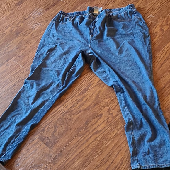 Sky | Jeans | Terra Sky Jeggings | Poshmark